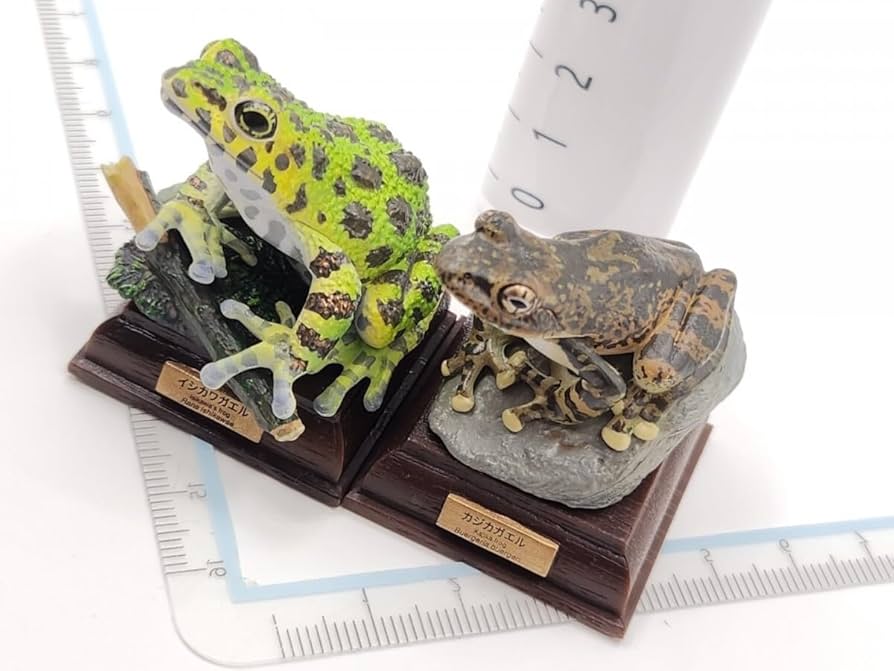 【旧版】ネイチャーテクニカラー 日本のカエル 「イシカワガエル」 オキナワイシカワガエル 日本のカエル特装版 ネイチャー